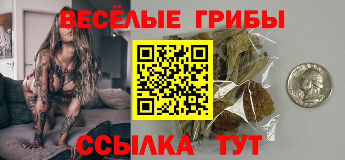 Борисоглебск  Галлюциногенные грибы мухоморы  Вход с VPN 